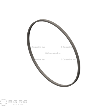 Liner Seal Ring 3054948 - Cummins