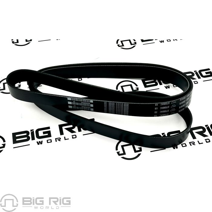 Belt-Engine, 8 Rib, 2078Mm, Poly D84-1003-082078 - Paccar - Big 